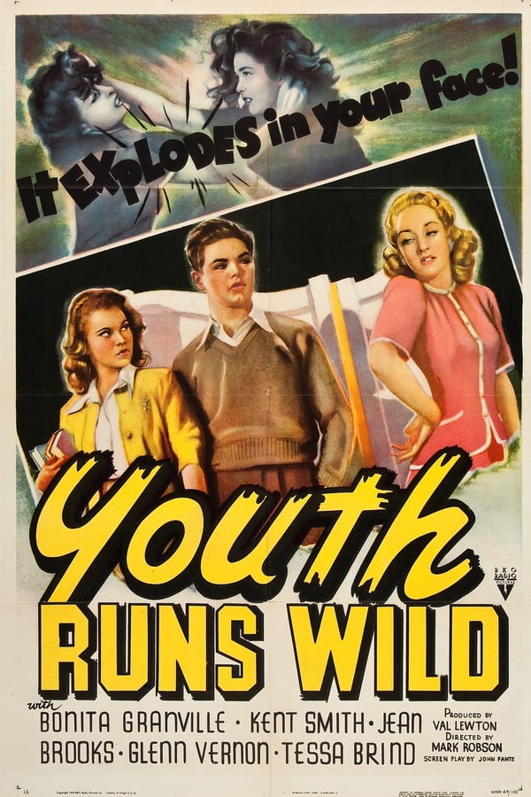 Cover of the movie Youth Runs Wild