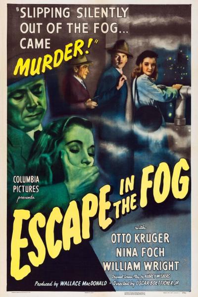 Cover of Escape in the Fog