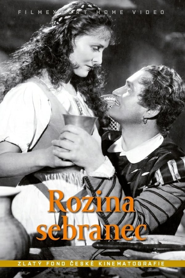 Cover of the movie Rozina the Love Child