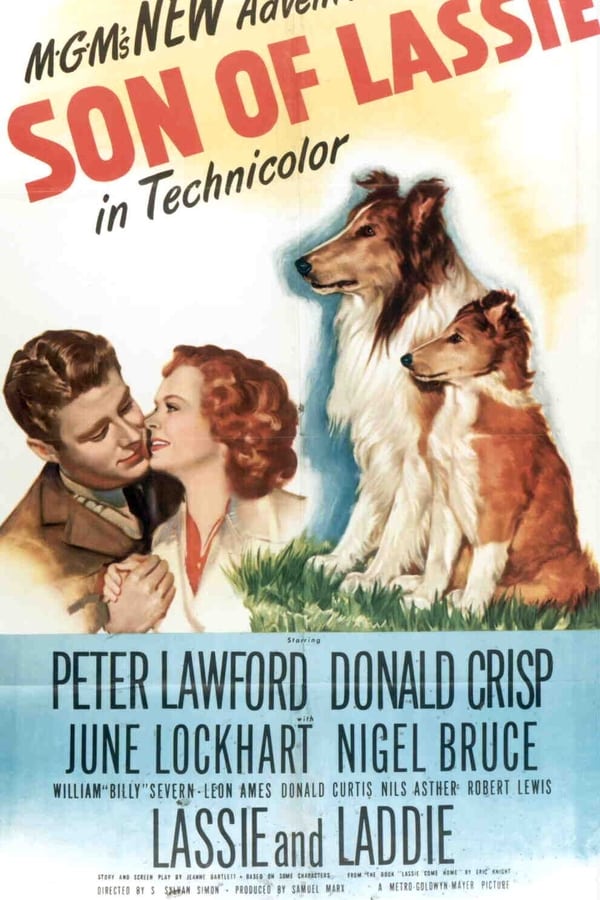 Cover of the movie Son of Lassie