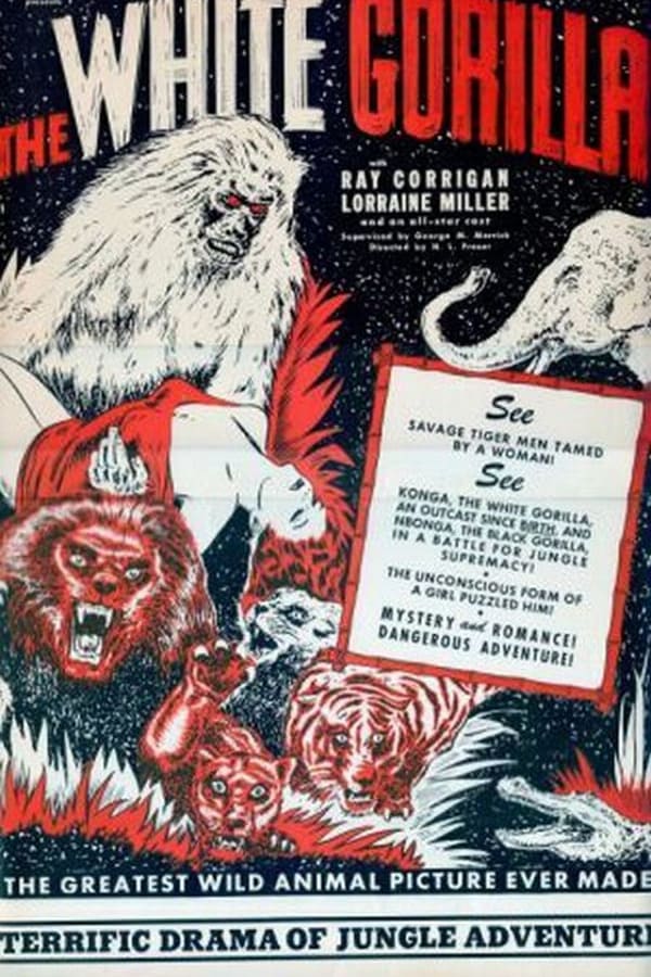 Cover of the movie The White Gorilla