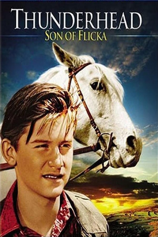 Cover of the movie Thunderhead - Son of Flicka
