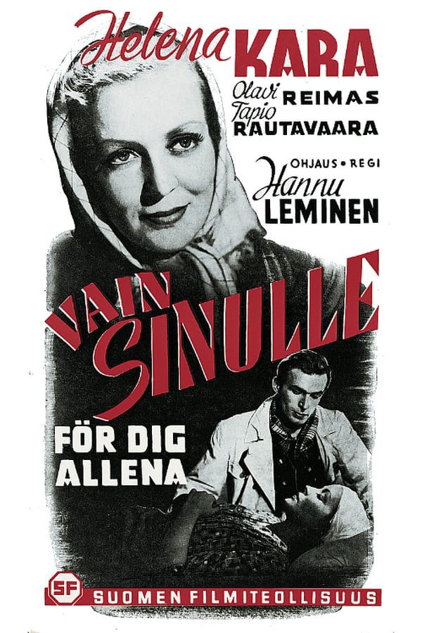 Cover of the movie Vain sinulle