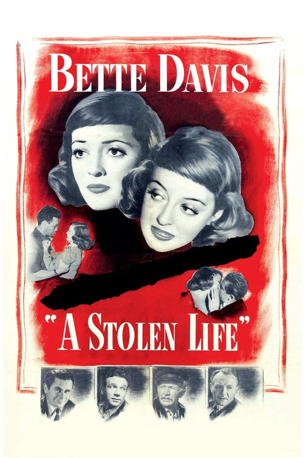 Cover of the movie A Stolen Life