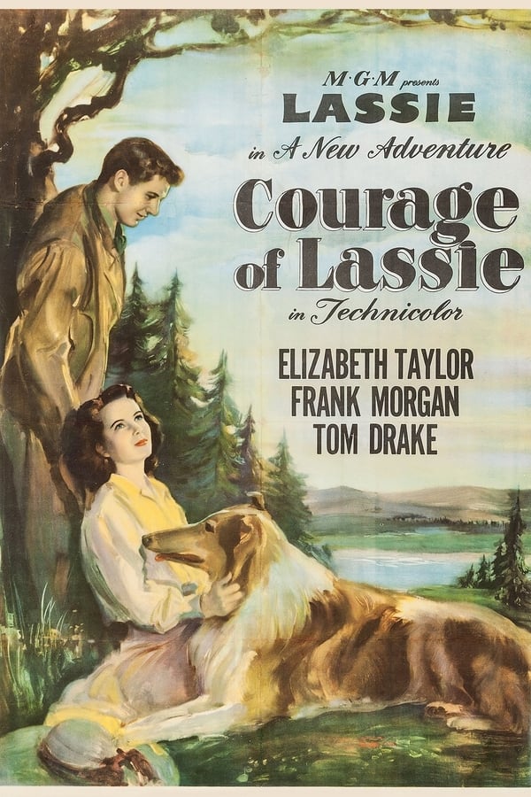 Cover of the movie Courage of Lassie