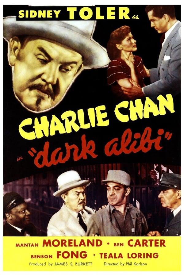 Cover of the movie Dark Alibi