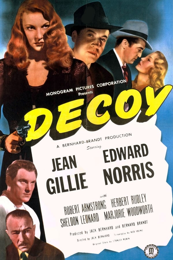 Cover of the movie Decoy