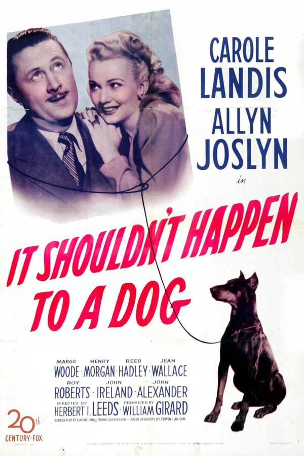 Cover of the movie It Shouldn't Happen to a Dog