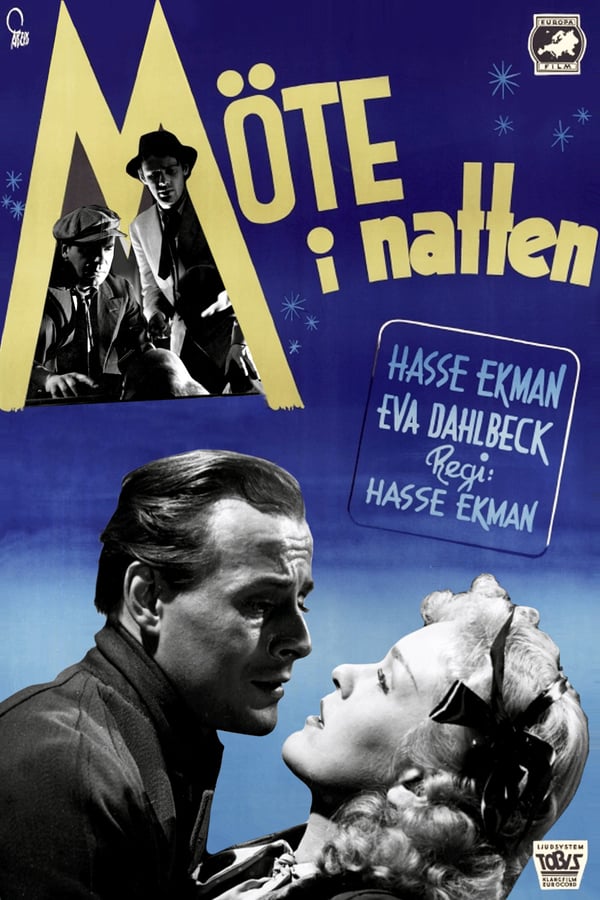 Cover of the movie Meeting in the Night