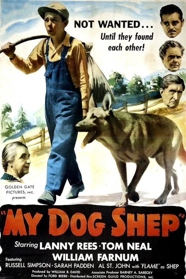 Cover of the movie My Dog Shep