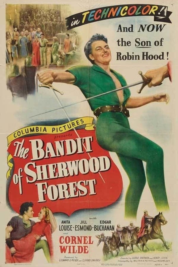 Cover of the movie The Bandit of Sherwood Forest