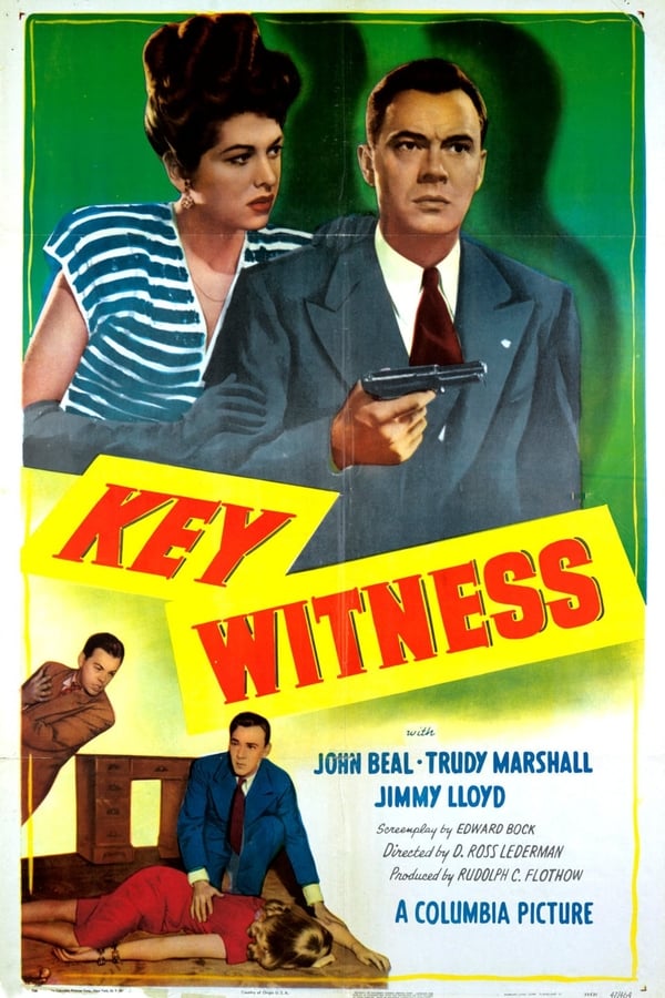 Cover of the movie Key Witness