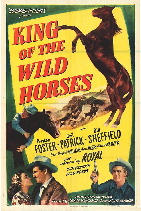 Cover of the movie King of the Wild Horses