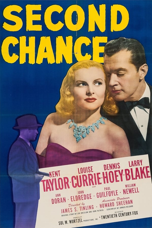 Cover of the movie Second Chance