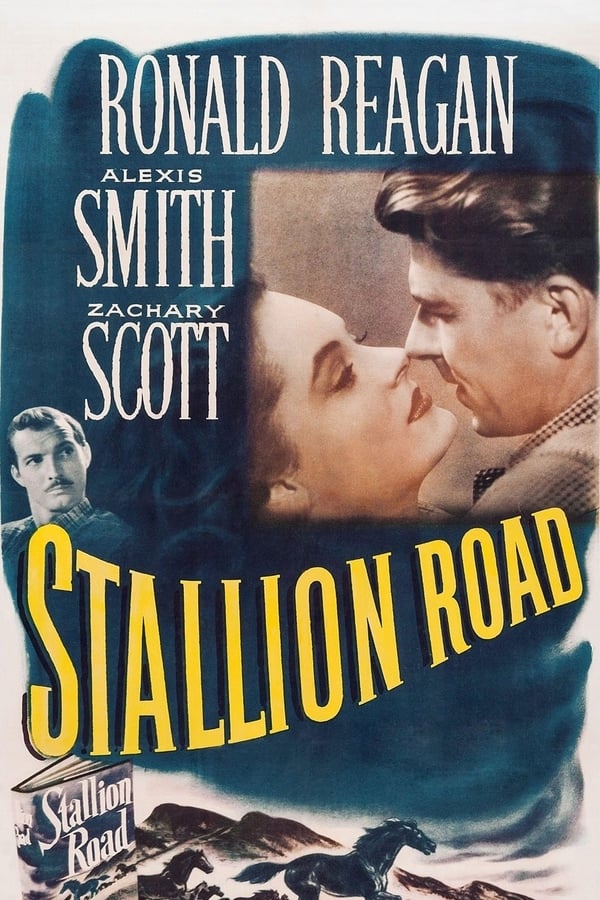 Cover of the movie Stallion Road