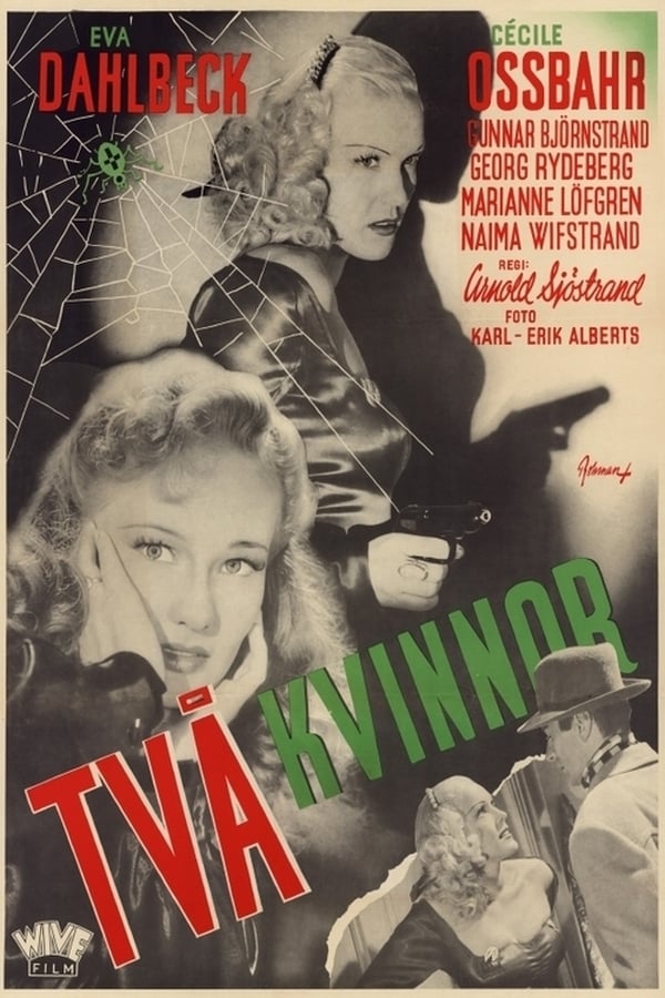 Cover of the movie Två kvinnor