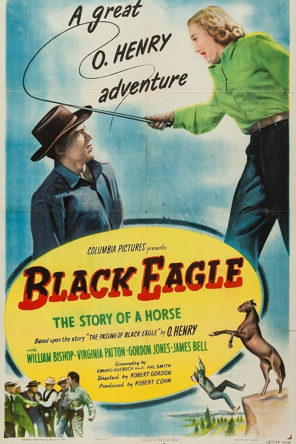 Cover of the movie Black Eagle