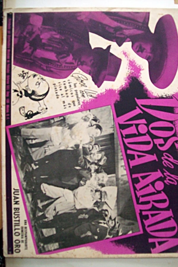 Cover of the movie Dos de la vida airada
