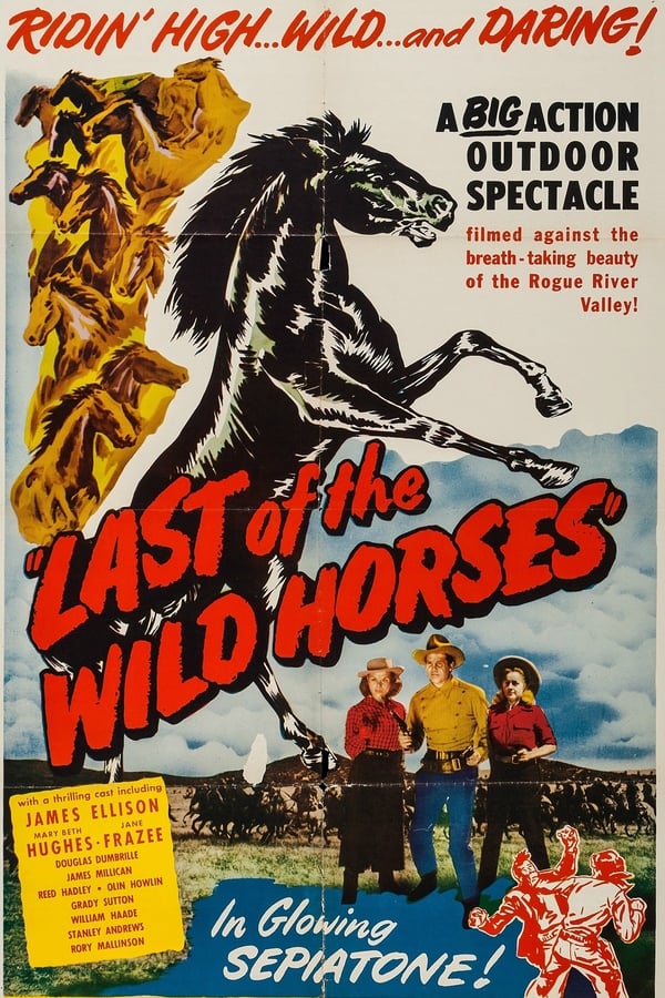 Cover of the movie Last of the Wild Horses