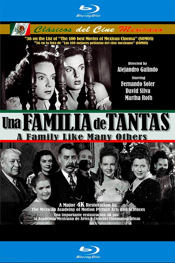 Cover of the movie A Family Like Many Others