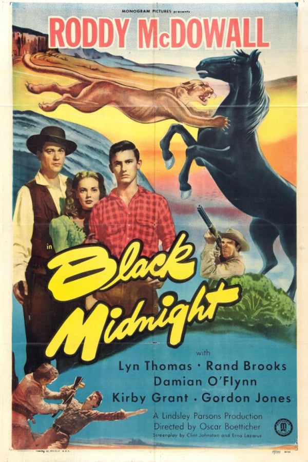 Cover of the movie Black Midnight