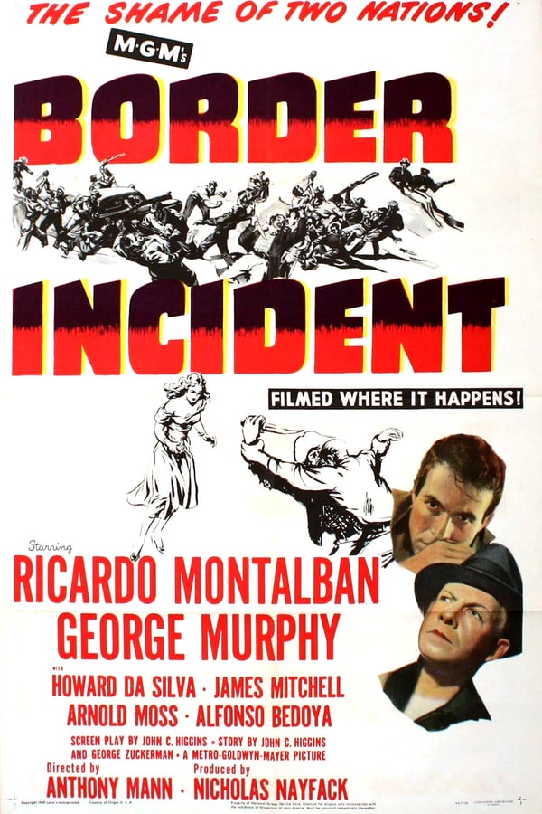 Cover of the movie Border Incident