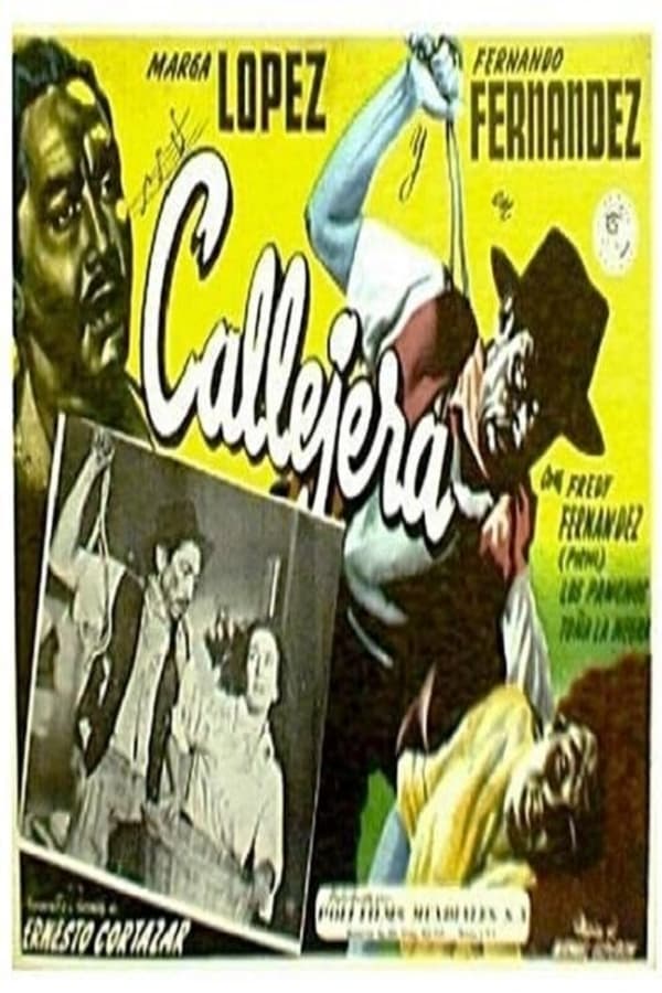 Cover of the movie Callejera