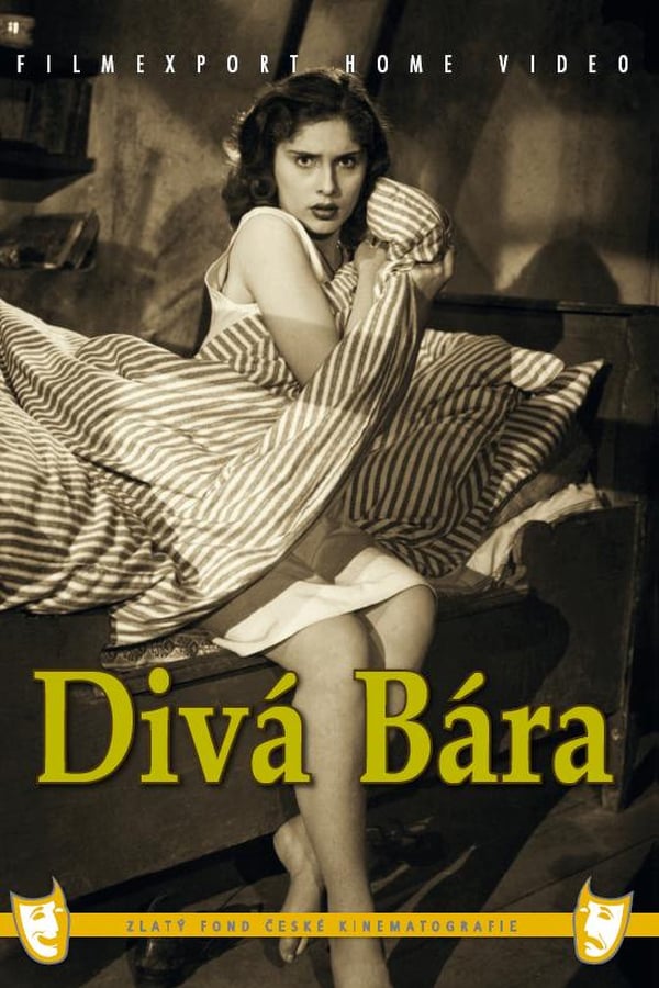 Cover of the movie Divá Bára