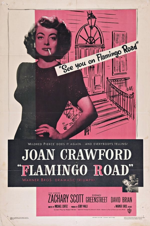 Cover of the movie Flamingo Road