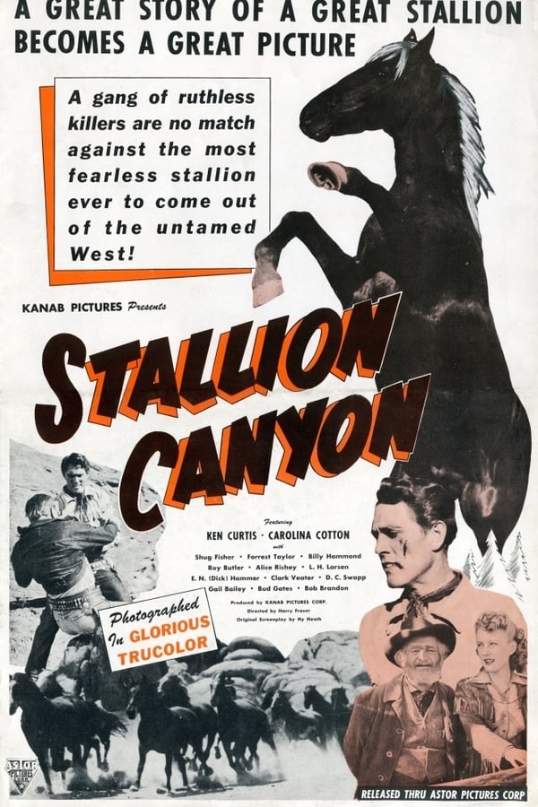 Cover of the movie Stallion Canyon