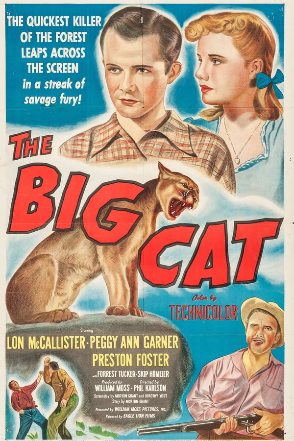 Cover of the movie The Big Cat