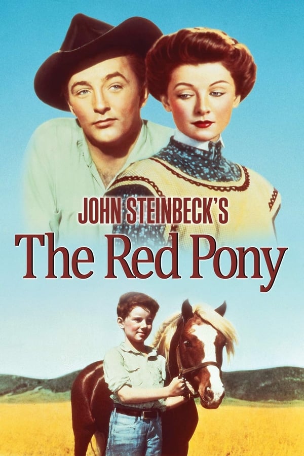 Cover of the movie The Red Pony