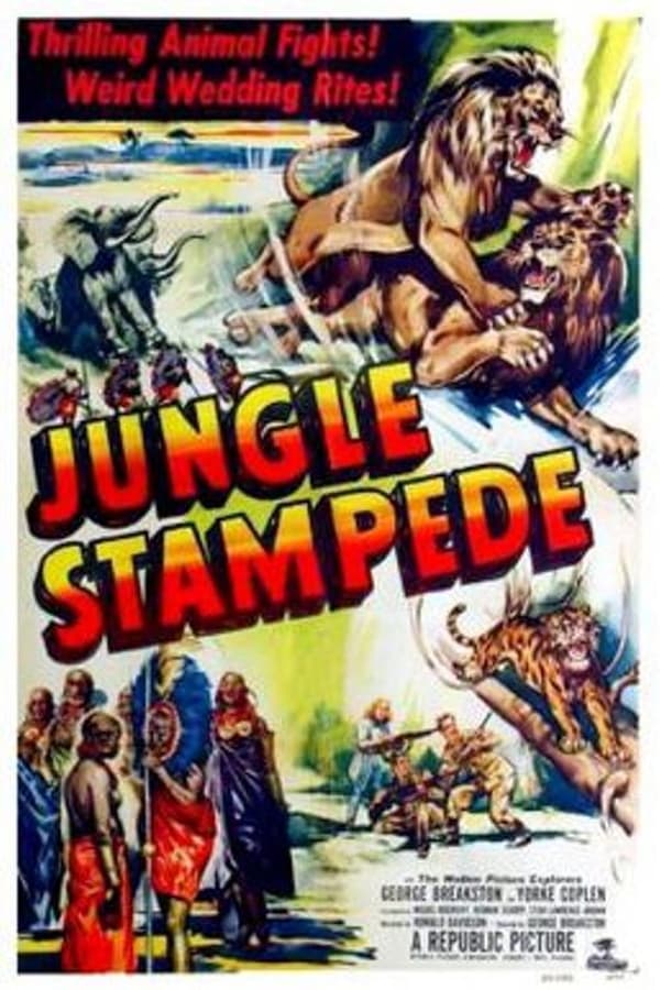 Cover of the movie Jungle Stampede