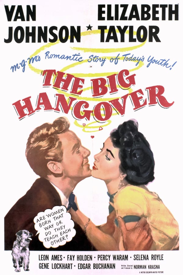 Cover of the movie The Big Hangover