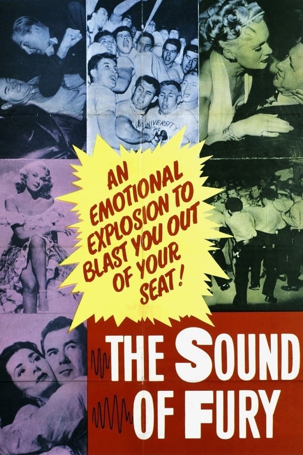 Cover of the movie The Sound of Fury