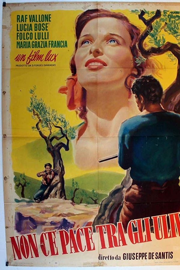 Cover of the movie Under the Olive Tree