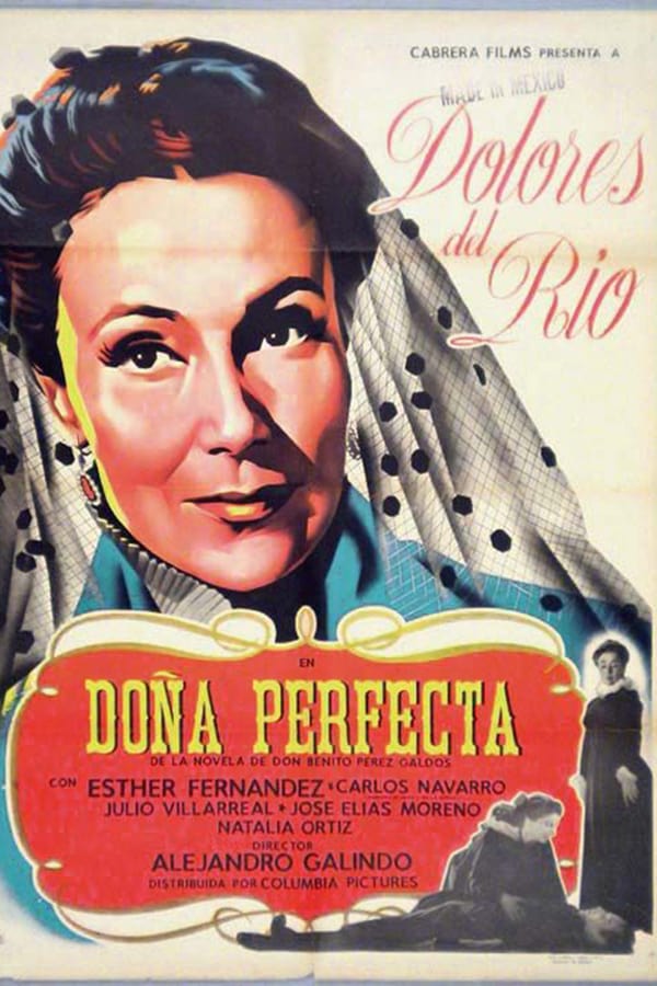 Cover of the movie Doña Perfecta