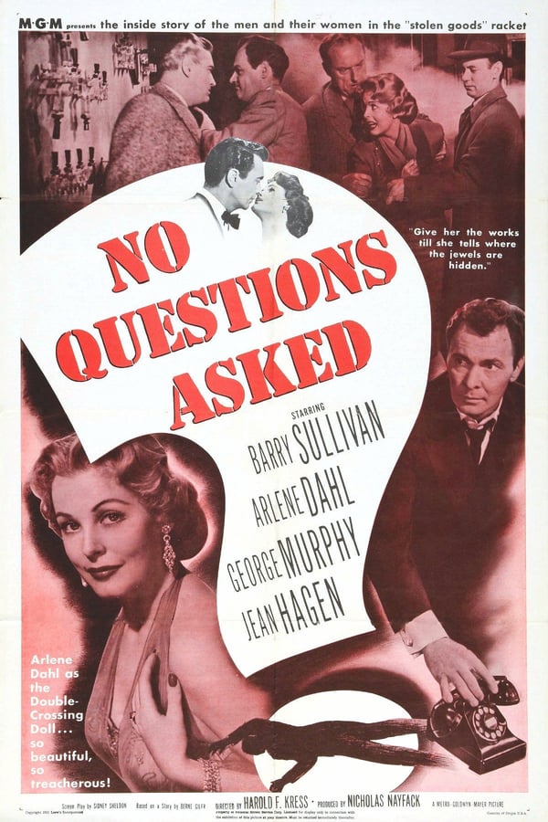 Cover of the movie No Questions Asked