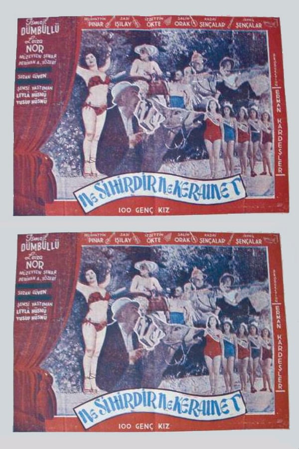 Cover of the movie Sim Sala Bim