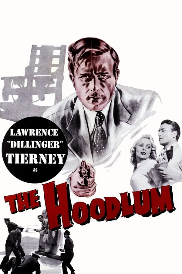 Cover of the movie The Hoodlum