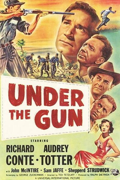 Cover of the movie Under the Gun