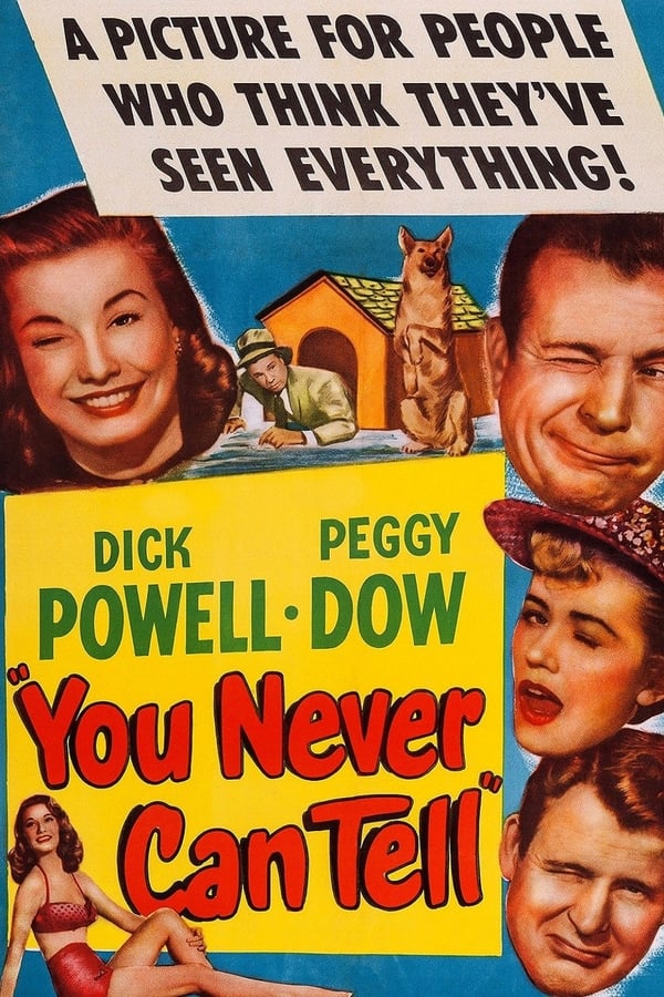 Cover of the movie You Never Can Tell