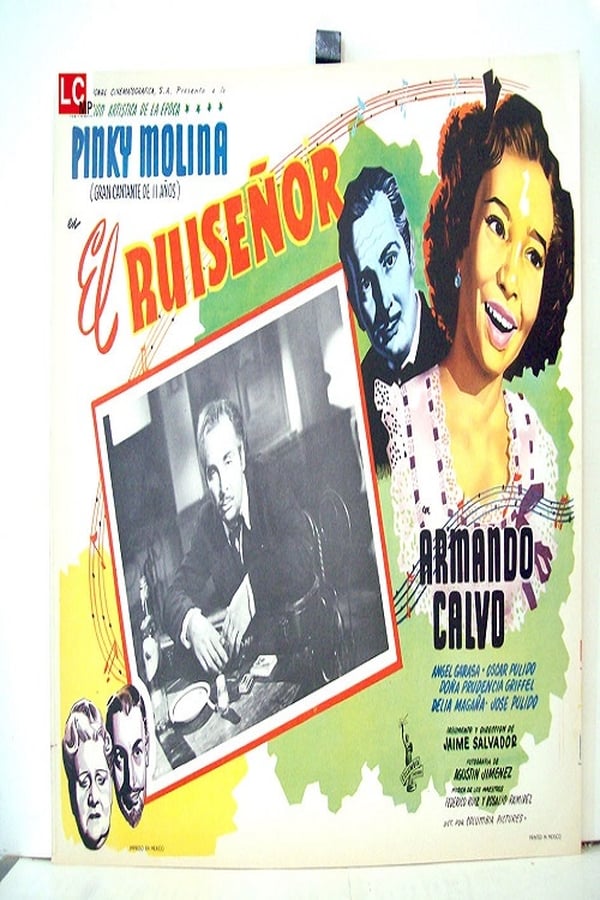 Cover of the movie El ruiseñor del barrio