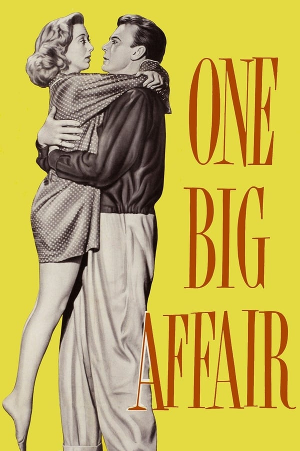 Cover of the movie One Big Affair