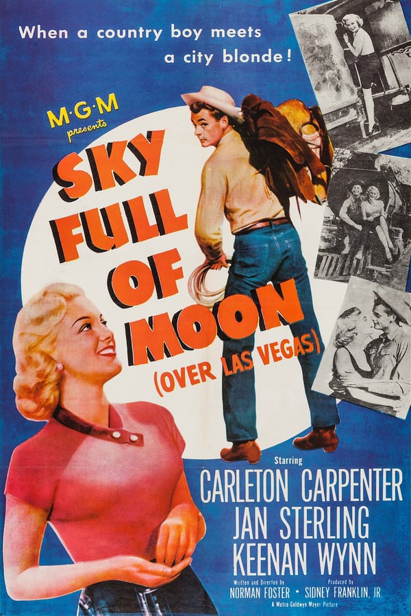 Cover of the movie Sky Full of Moon