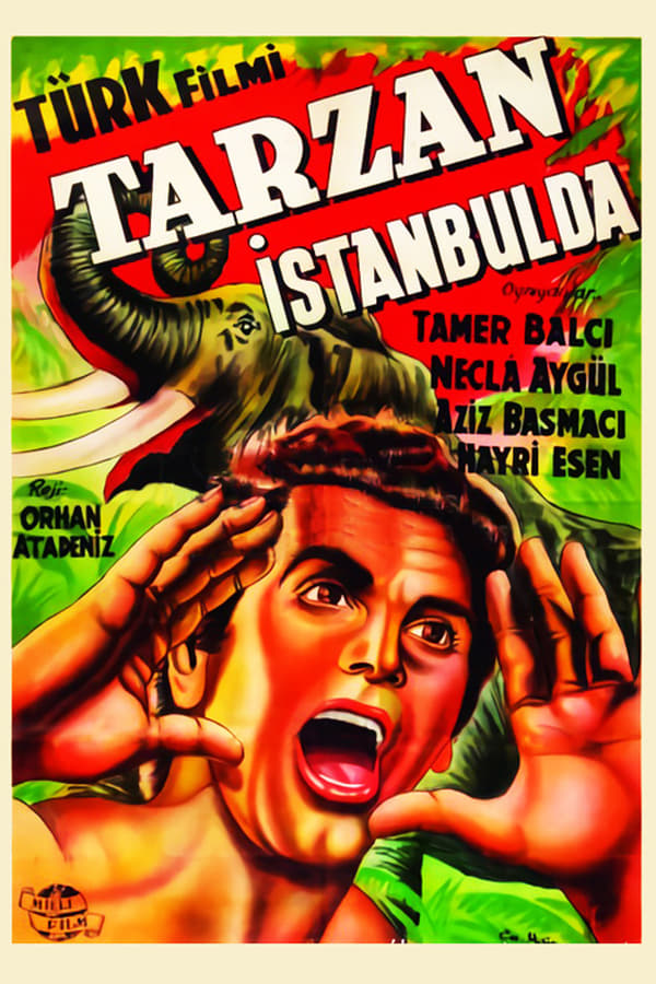 Cover of the movie Tarzan İstanbul'da