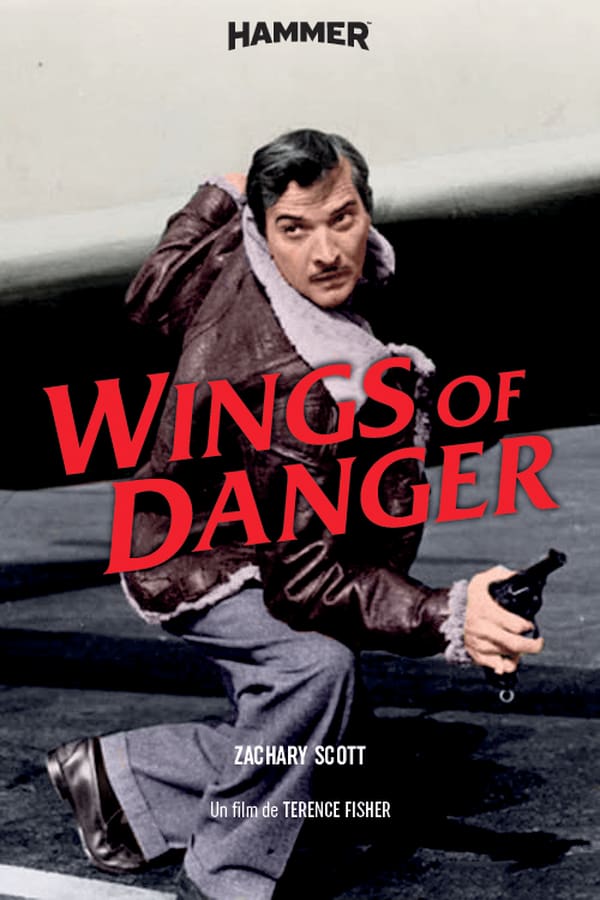 Cover of the movie Wings of Danger