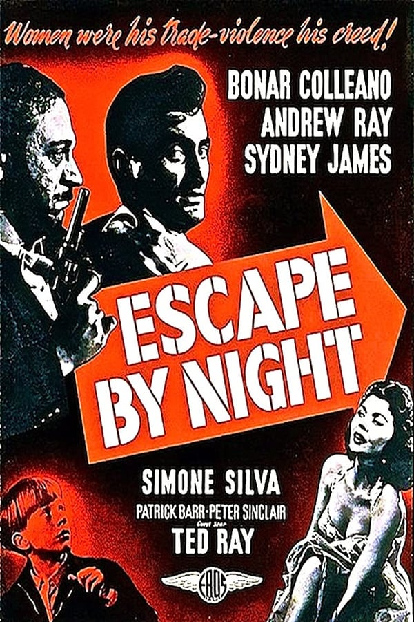 Cover of the movie Escape by Night