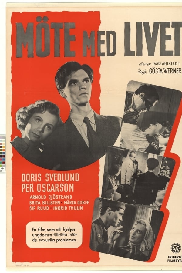 Cover of the movie Möte med livet