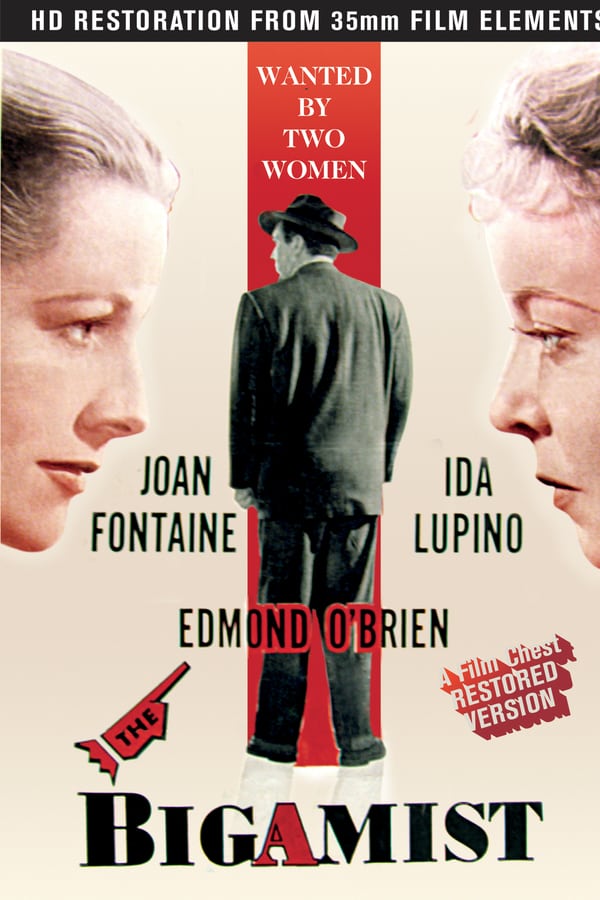 Cover of the movie The Bigamist